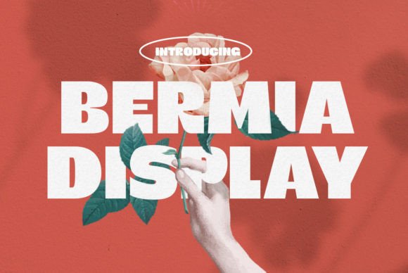 Bermia: The Bold Display Typeface for Campaign Clarity