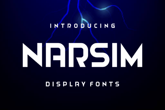 Narsim Bold Display Font for Modern Web Design