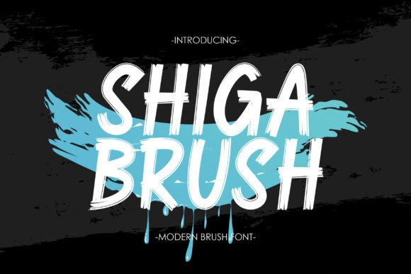 Shiga Brush: The Bold Typeface That Transforms Campaign Visuals